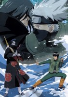 Naruto 110 (Small)